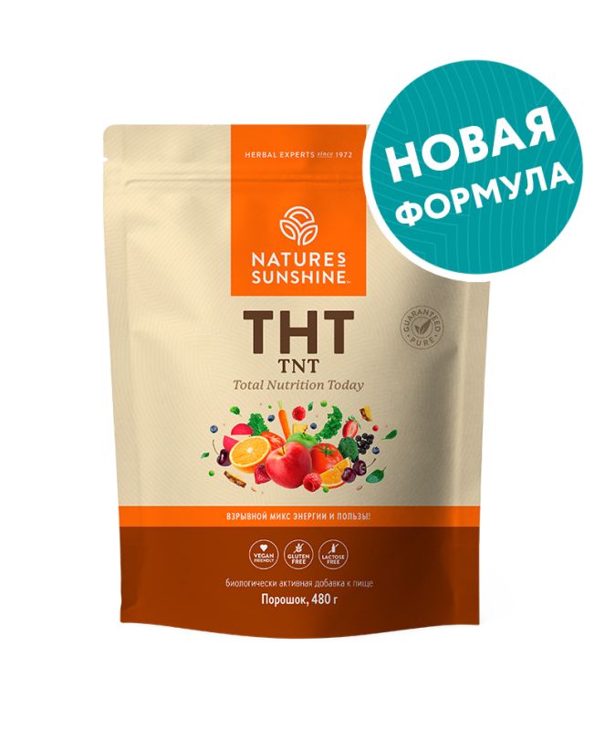 Ти Эн Ти (TNT - Total Nutrition Today) порошок 480 г